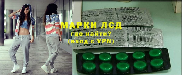 стаф Арсеньев