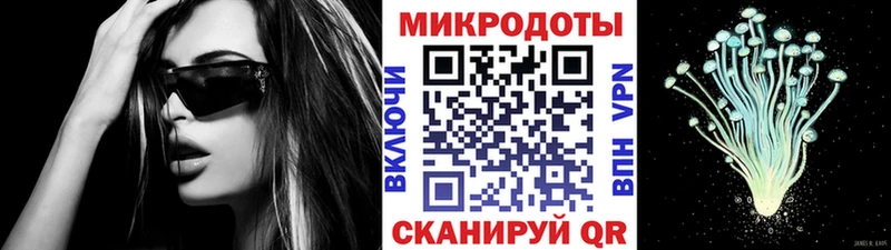 Псилоцибиновые грибы прущие грибы  Рудня 
